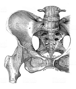 istockphoto-528485836-1024x1024